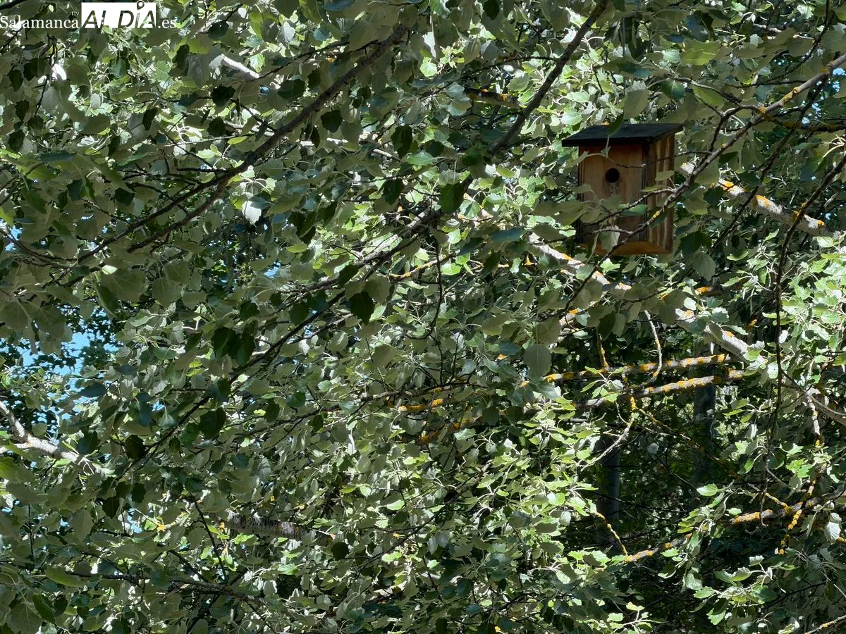 Huerta Otea, el paraíso botánico de Salamanca a orillas del río | FOTOS: V.M. 