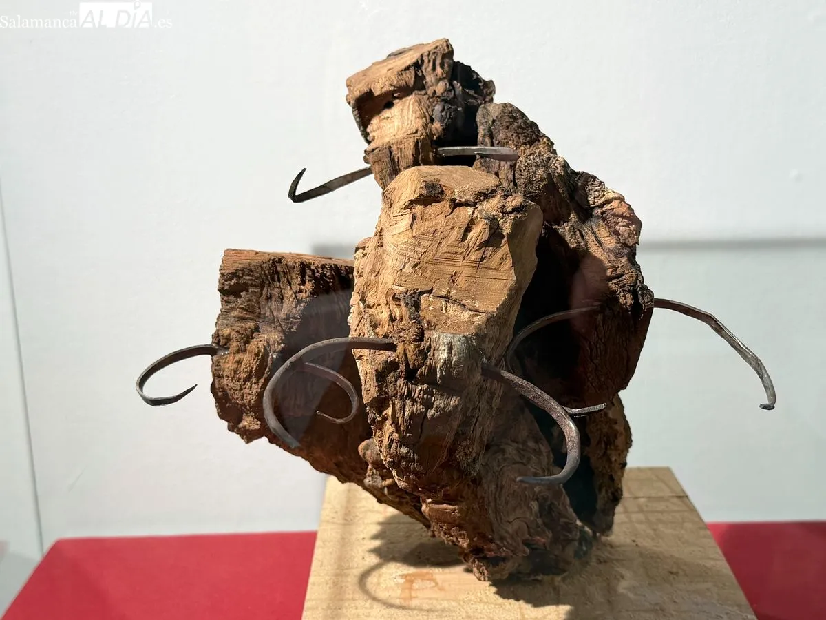 Exposición 'Entre Encinas y Memoria' de Ángel Martín Carreño en Salamanca | FOTOS: V. Martins 