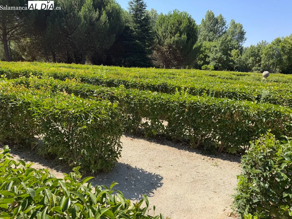 Foto 2 - &iquest;Sabes que existe un laberinto en Salamanca?  