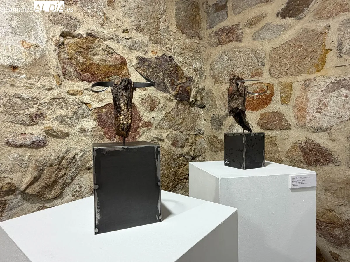 Exposición 'Entre Encinas y Memoria' de Ángel Martín Carreño en Salamanca | FOTOS: V. Martins 