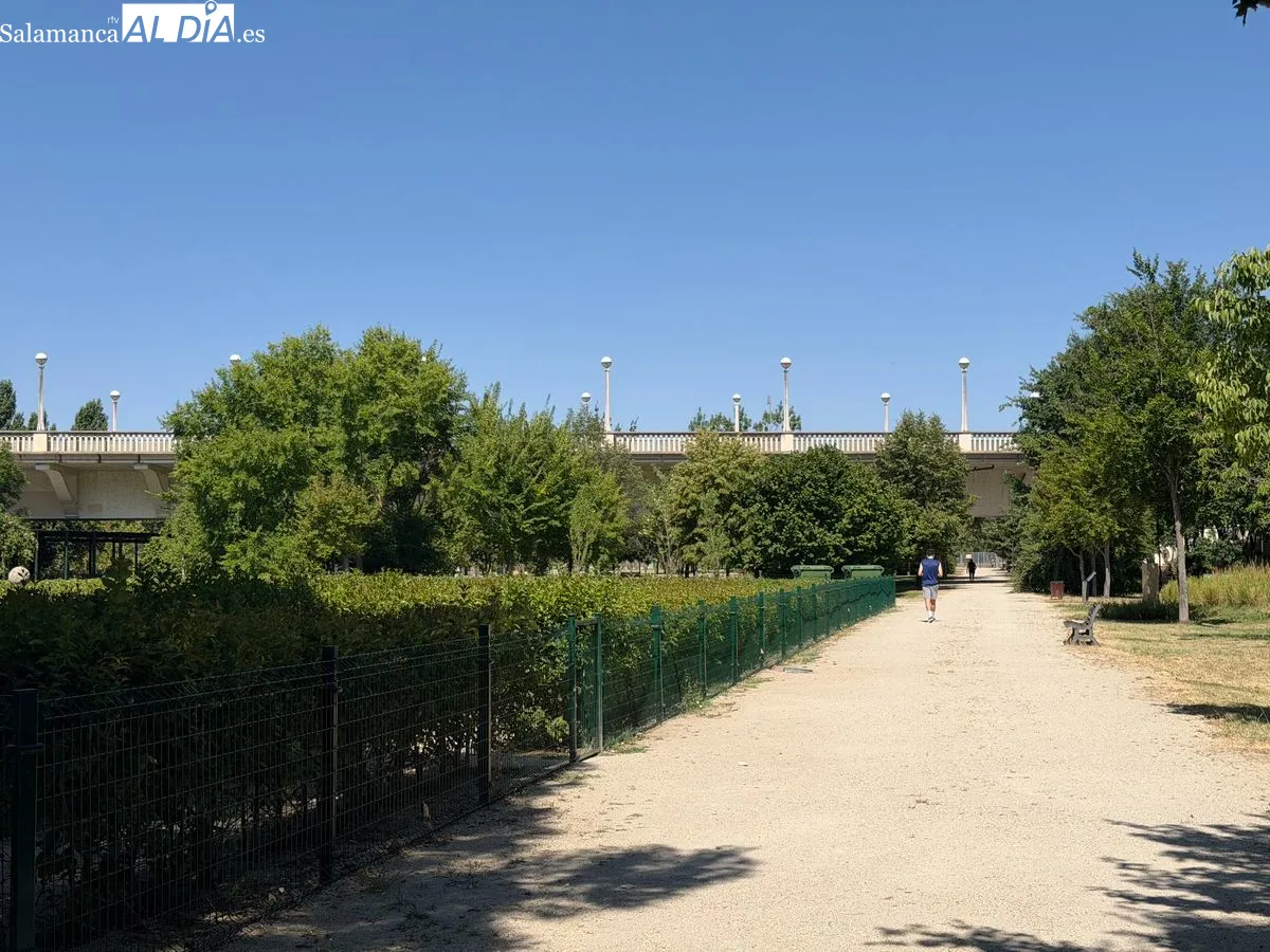 Foto 3 - &iquest;Sabes que existe un laberinto en Salamanca?  