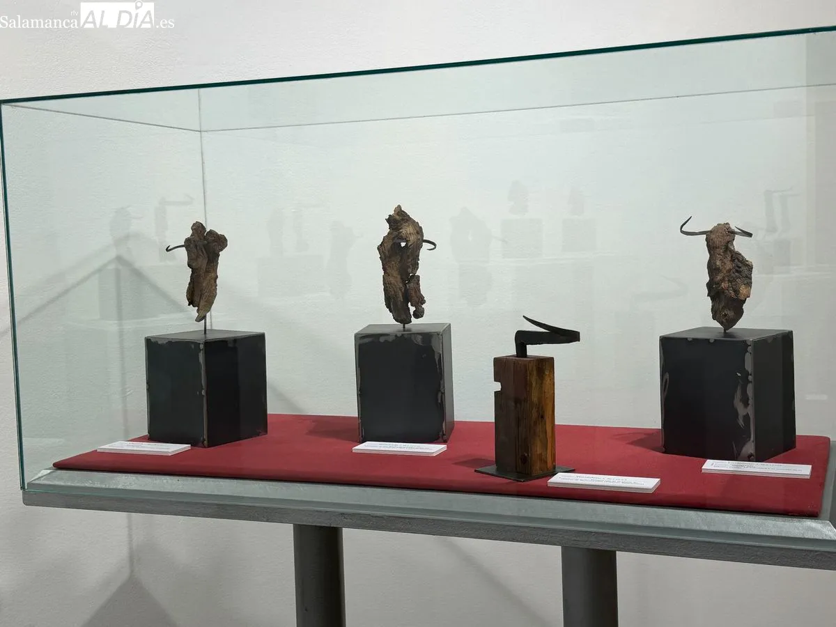 Exposición 'Entre Encinas y Memoria' de Ángel Martín Carreño en Salamanca | FOTOS: V. Martins 