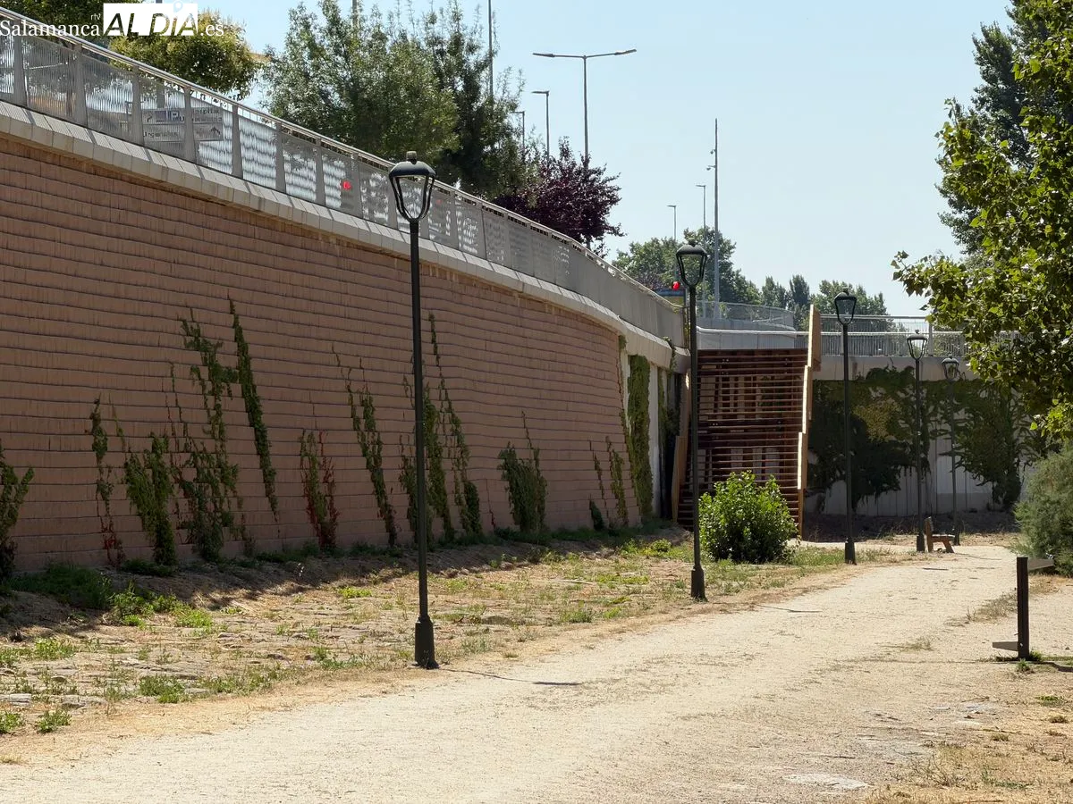 Huerta Otea, el paraíso botánico de Salamanca a orillas del río | FOTOS: V.M. 