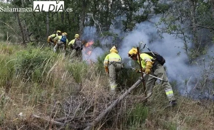 El incendio de Berrocal de Huebra se reactiva y vuelve a nivel 1 