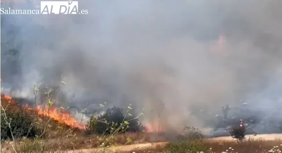 Alerta por riesgo de incendios en Castilla y León
