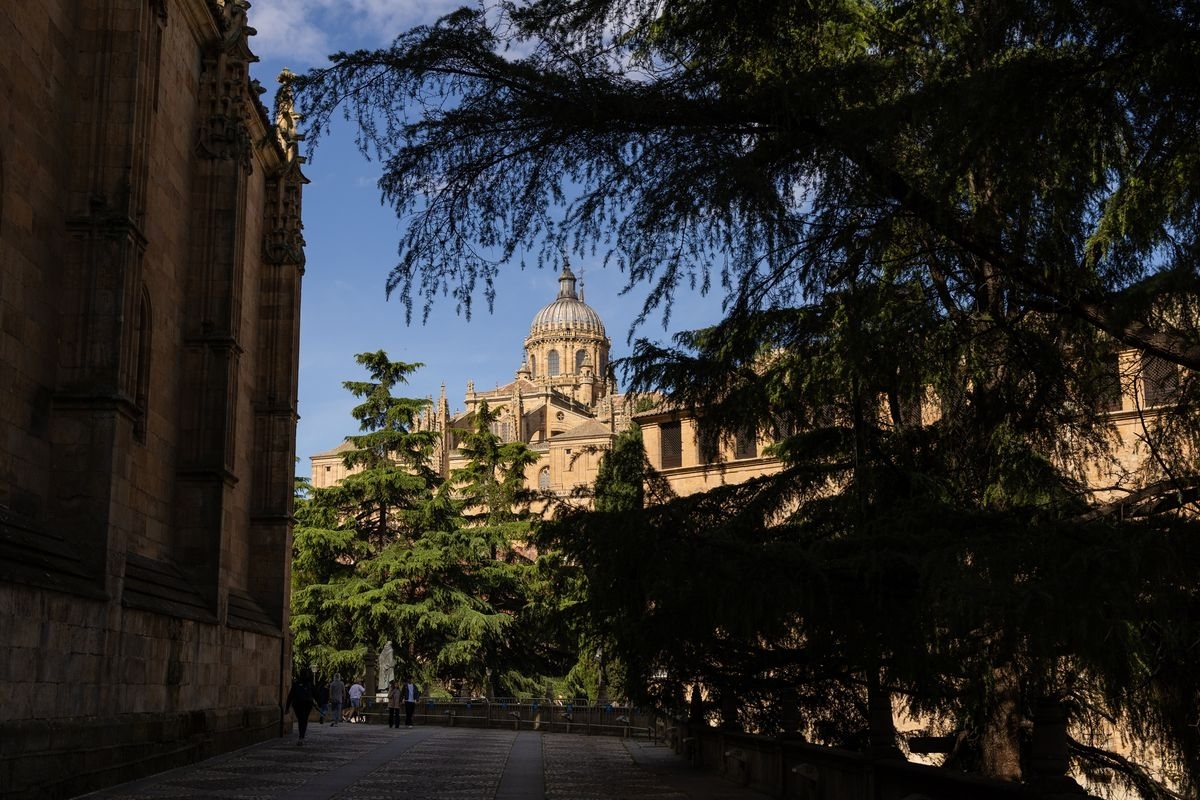 El secreto del camino