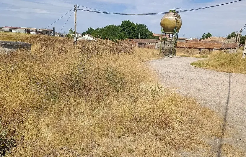 Riesgo de incendio en Valdecarros: el PSOE exige limpieza