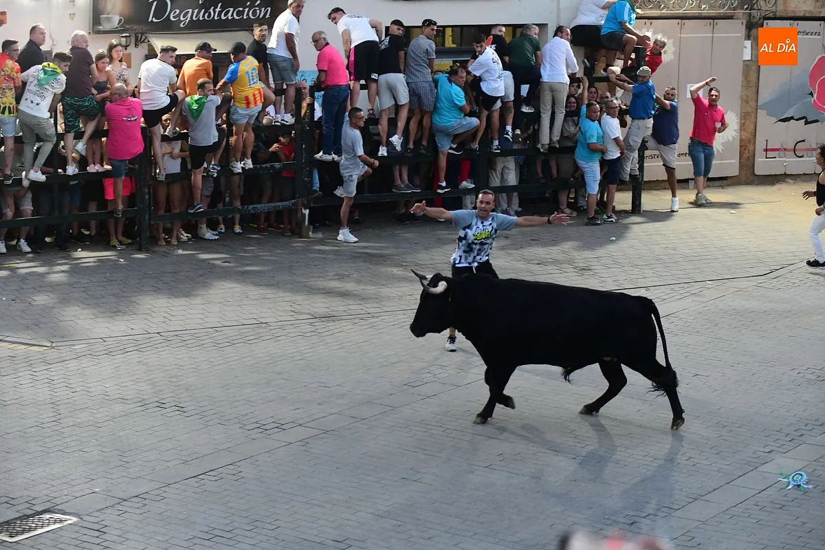 Toro donado por el colectivo de autónomos de Moraleja