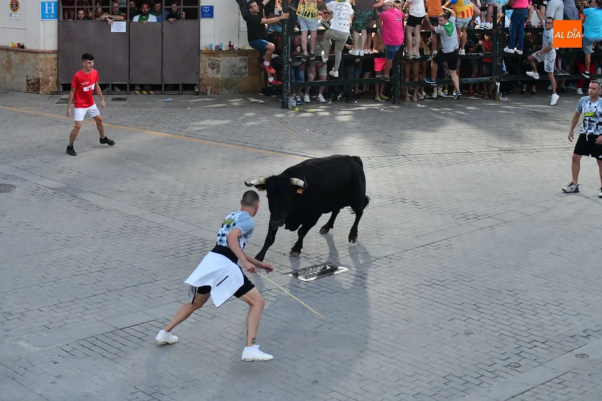 Toro donado por el colectivo de autónomos de Moraleja