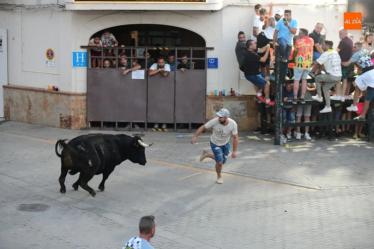 Toro donado por el colectivo de autónomos de Moraleja