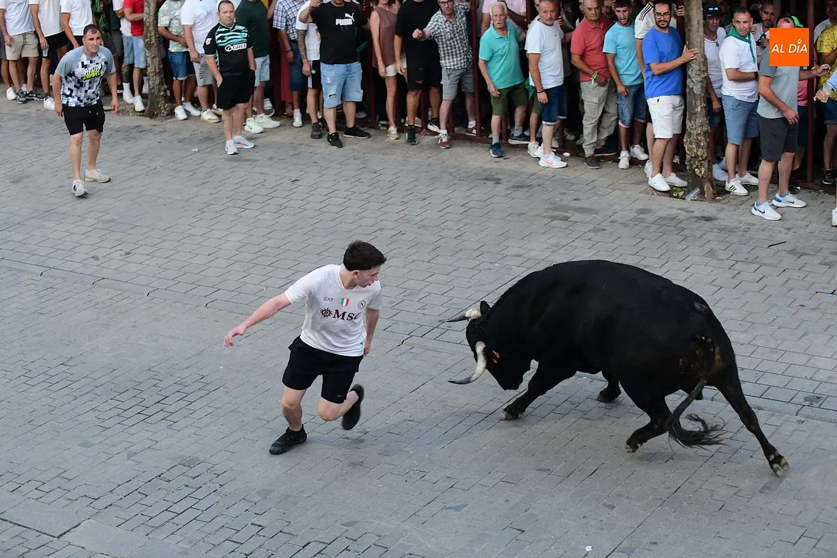 Toro donado por el colectivo de autónomos de Moraleja