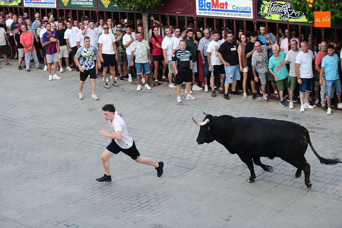 Toro donado por el colectivo de autónomos de Moraleja