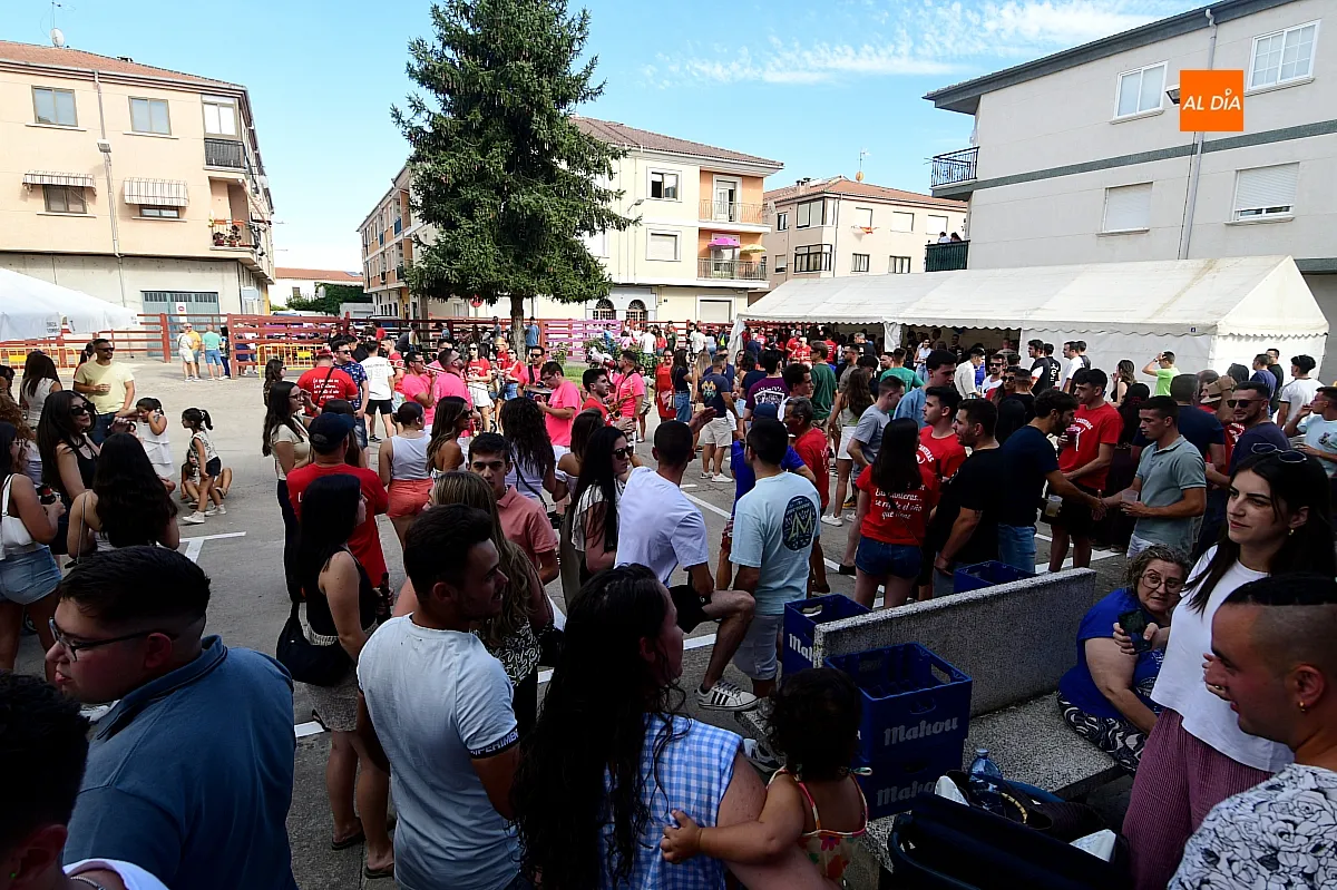 Vaquillas en Las Canteras