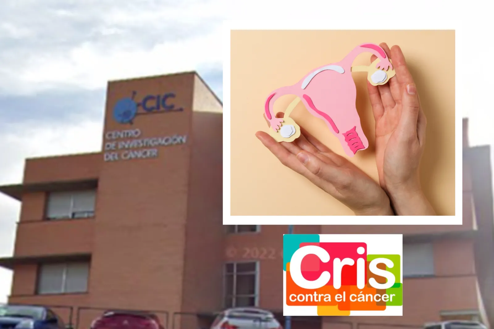 Un innovador proyecto científico liderado en Salamanca, clave contra el cáncer de ovario