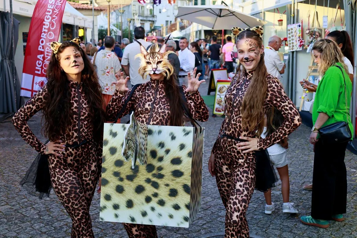 Foto 4 - La feria Terras do Lince llega al momento alto de esta edici&oacute;n con la actuaci&oacute;n de Xutos & Pontap&eacute;s y V&iacute;tor Kley