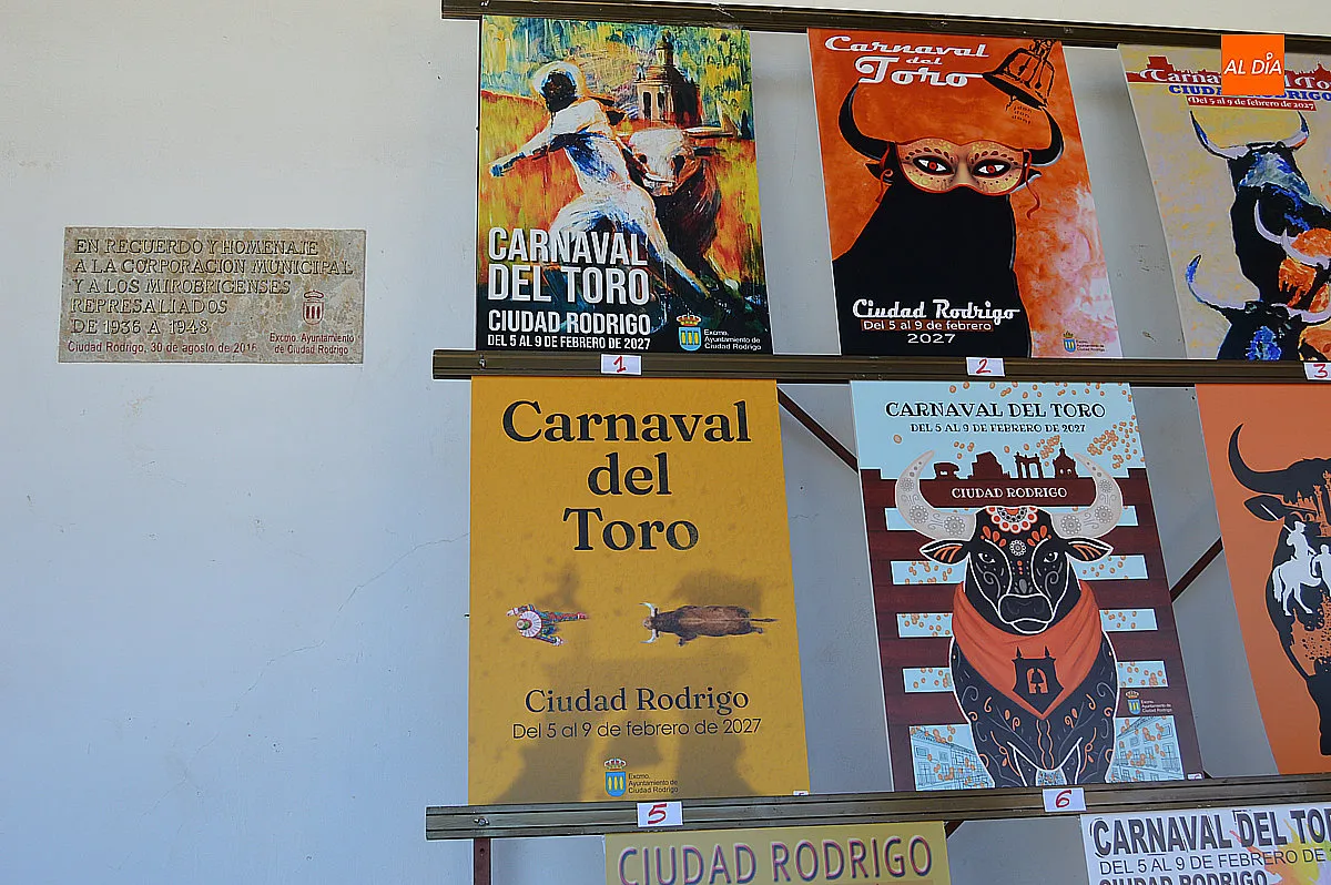 Foto 2 - El Carnaval del Toro 2027 ya busca su imagen oficial entre 11 propuestas expuestas