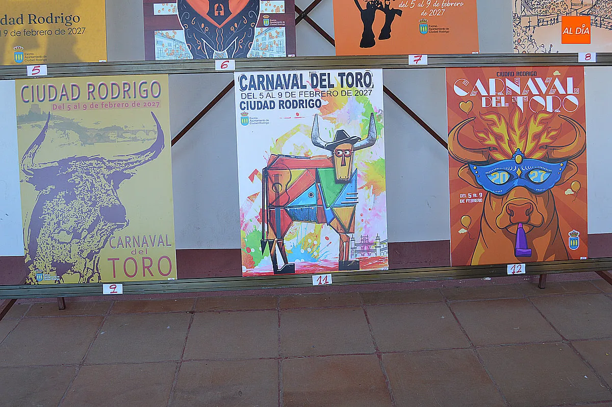 Foto 4 - El Carnaval del Toro 2027 ya busca su imagen oficial entre 11 propuestas expuestas