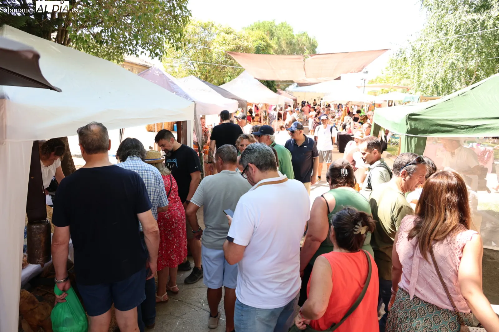 Mercado Campesino en Miranda de Azán. Fotos: David Sañudo