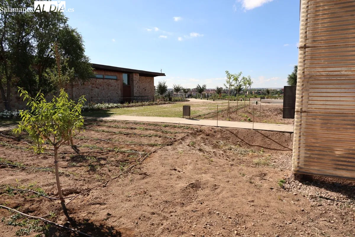 La gran transformación del Cerro de San Vicente | FOTOS: David Sañudo