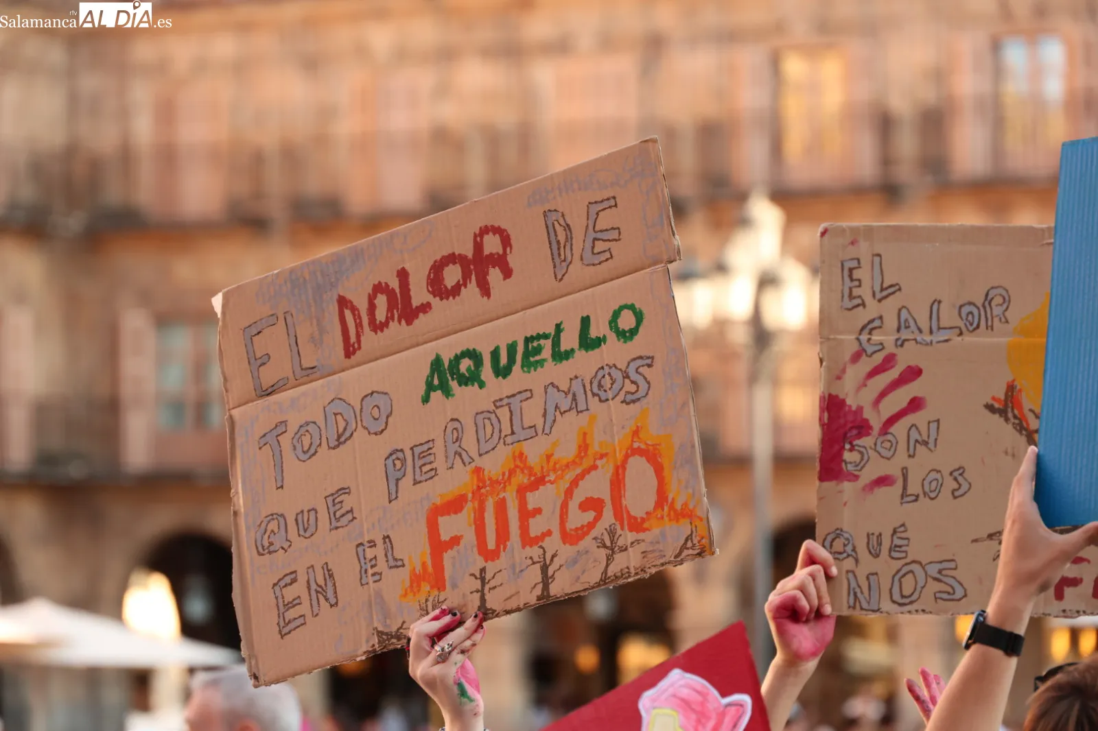 Concentración en la Plaza Mayor de Salamanca contra la gestión de los incendios forestales en Castilla y León. Fotos: David Sañudo