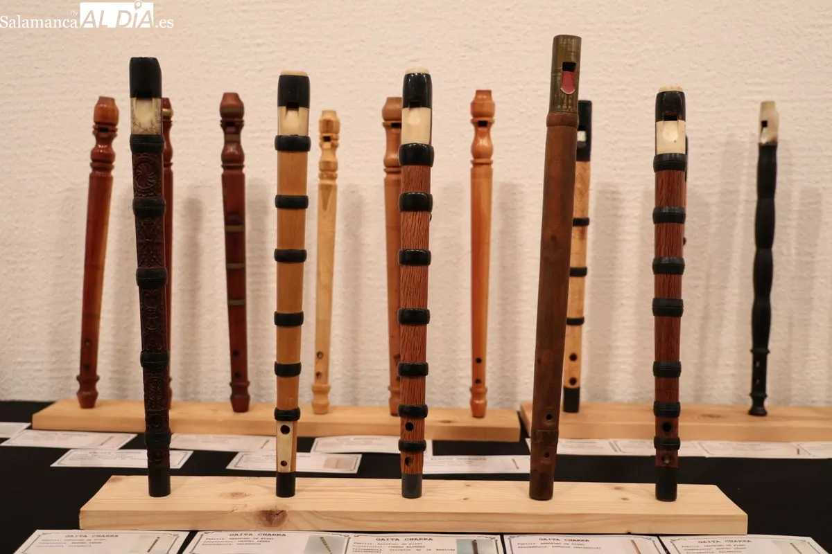 El Palacio de Garcigrande acoge dos exposiciones de folclore e instrumentos tradicionales | FOTOS: David Sañudo 