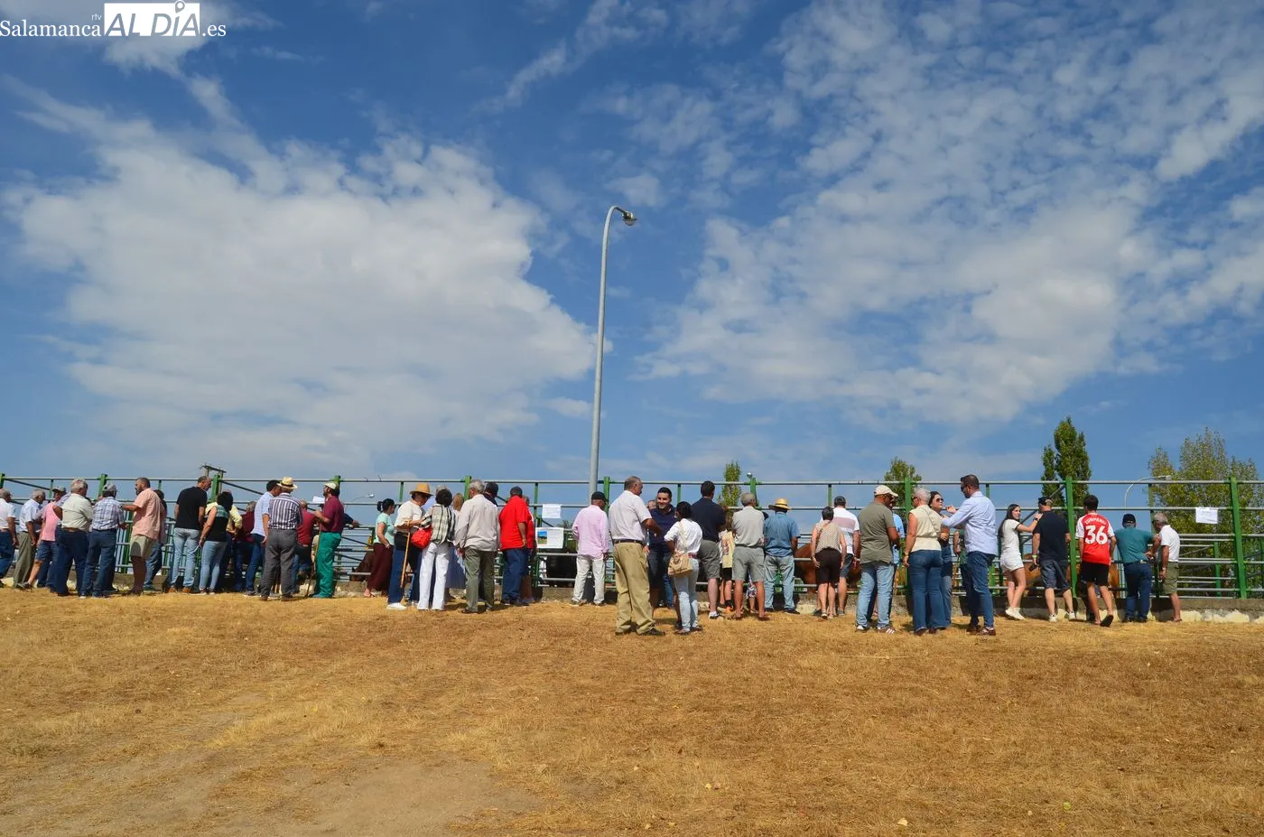Feria ganadera 2026 de Vitigudino / ARIAS