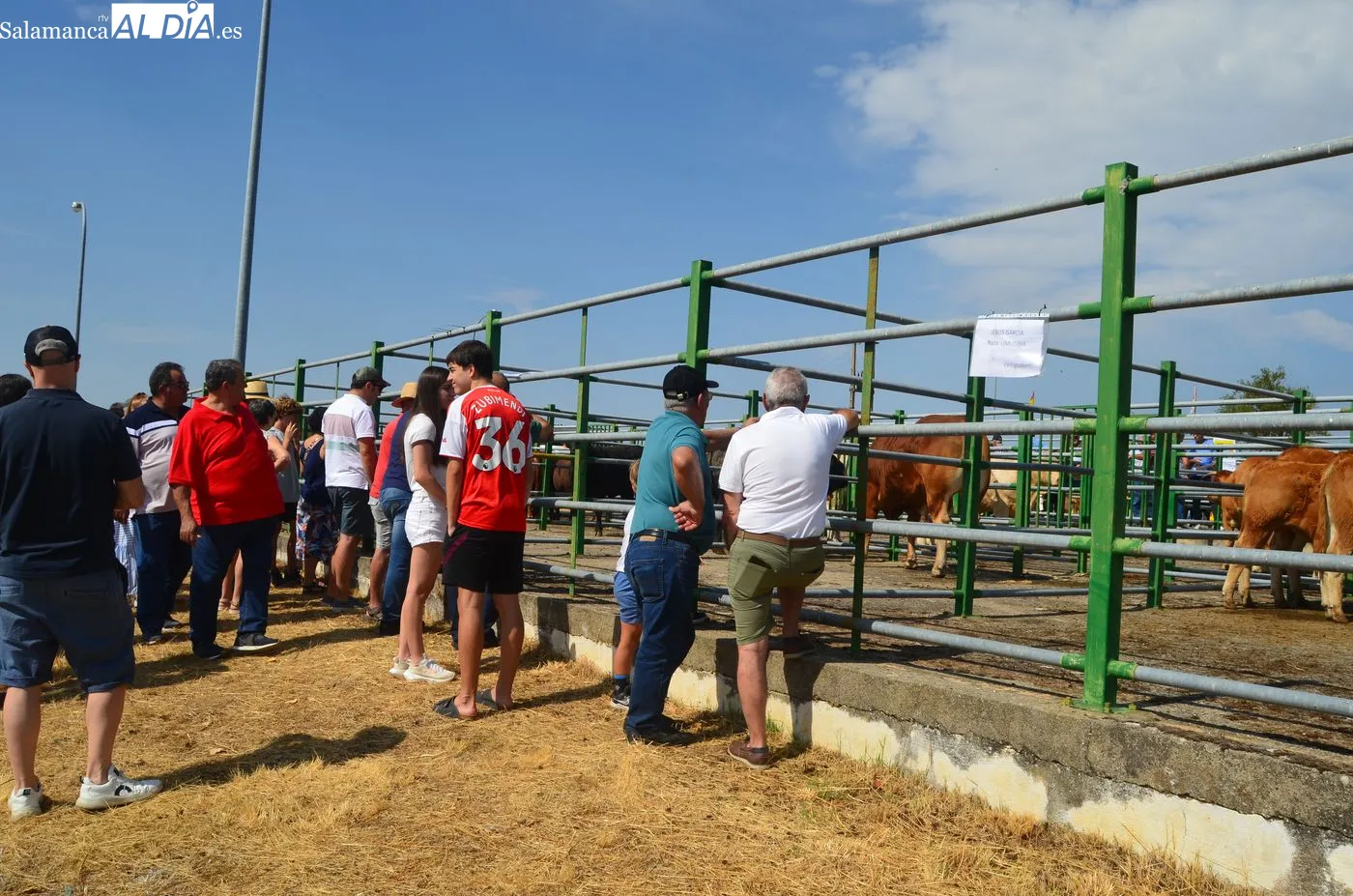 Feria ganadera 2026 de Vitigudino / ARIAS