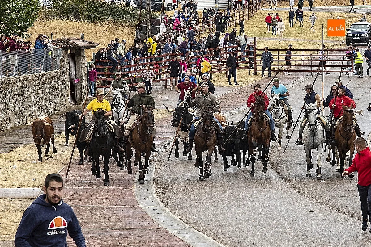 Foto 4 - La lluvia no impide a guinaldeses y visitantes disfrutar del &uacute;ltimo encierro a caballo
