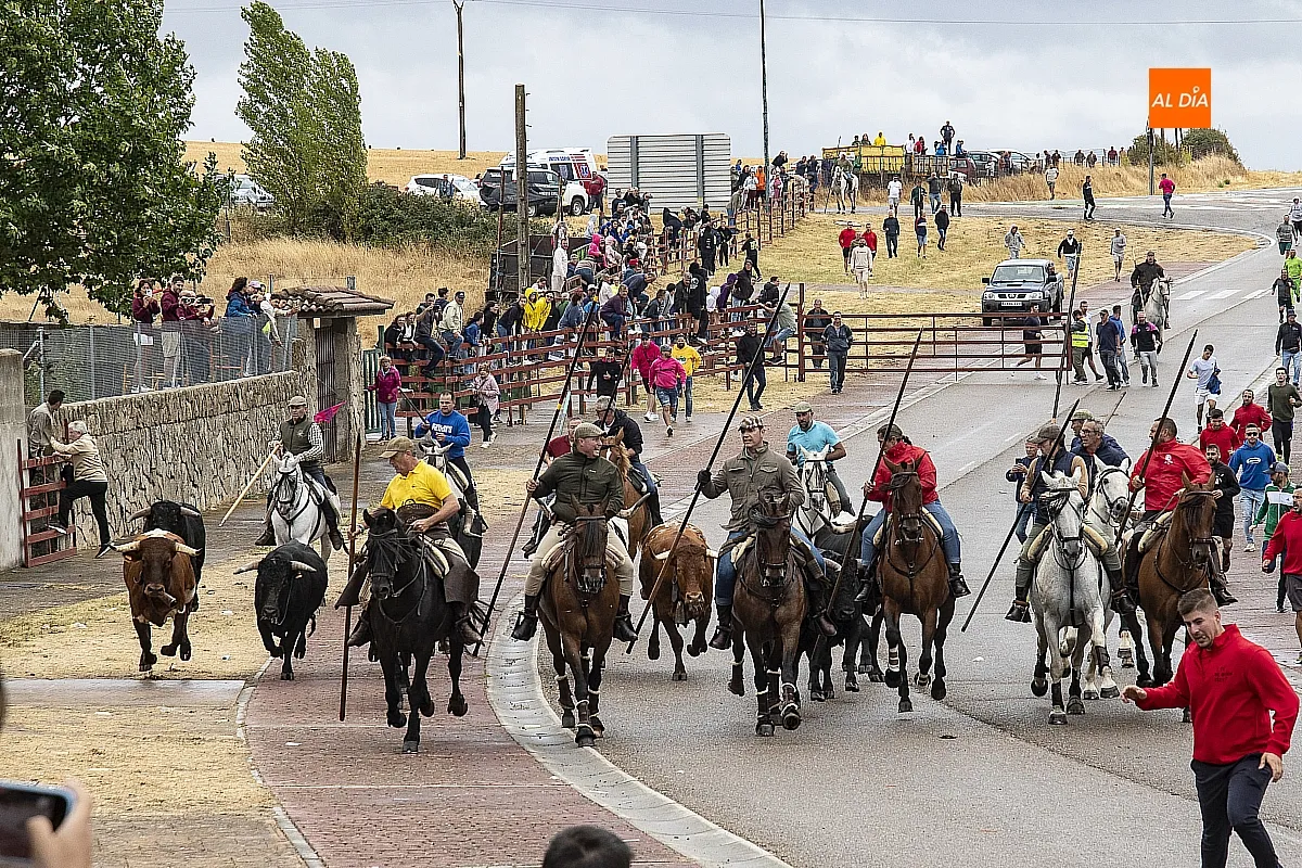 Foto 5 - La lluvia no impide a guinaldeses y visitantes disfrutar del &uacute;ltimo encierro a caballo