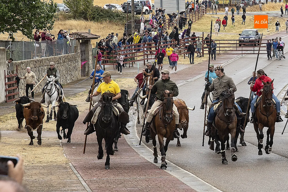 Foto 6 - La lluvia no impide a guinaldeses y visitantes disfrutar del &uacute;ltimo encierro a caballo