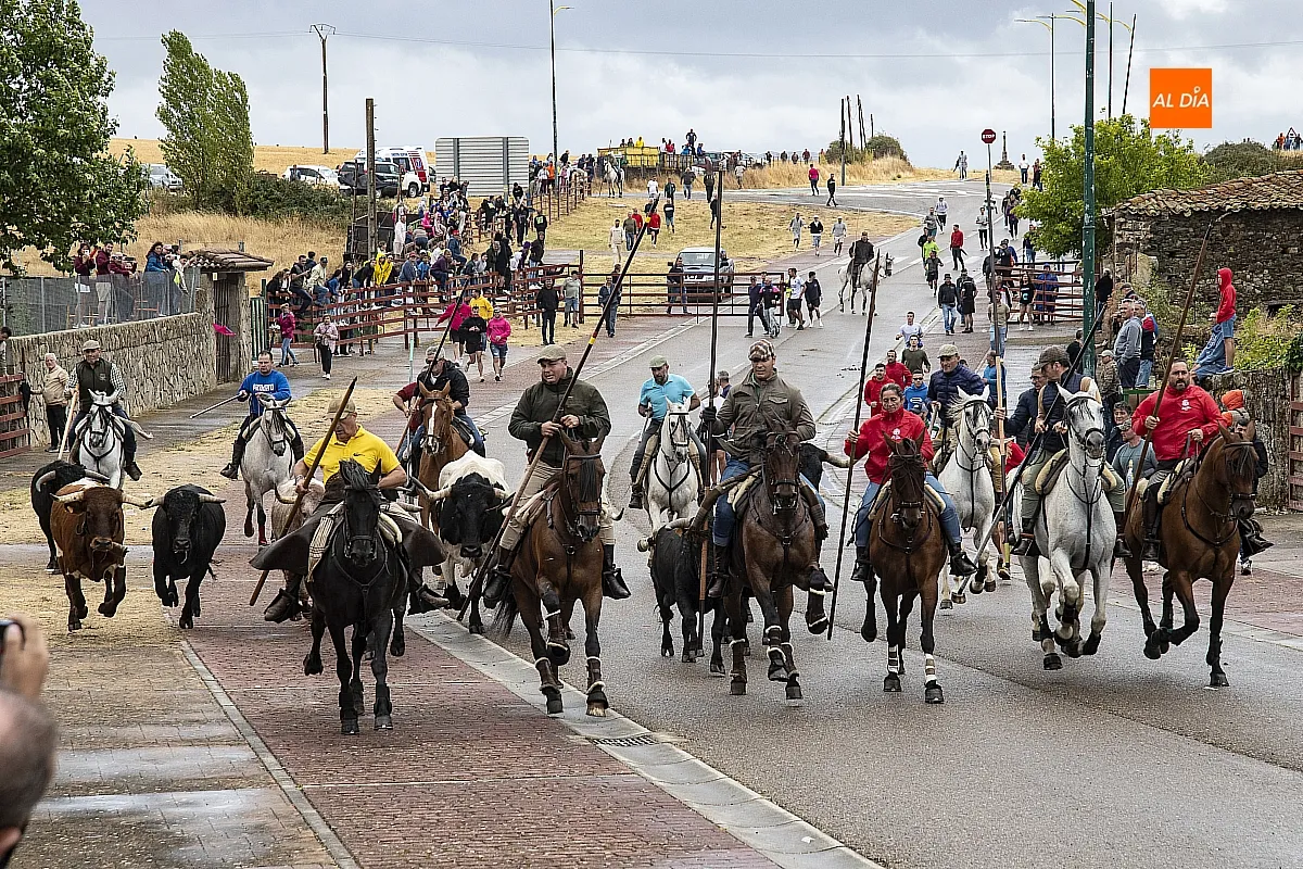 Foto 7 - La lluvia no impide a guinaldeses y visitantes disfrutar del &uacute;ltimo encierro a caballo