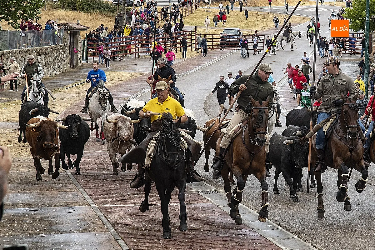 Foto 8 - La lluvia no impide a guinaldeses y visitantes disfrutar del &uacute;ltimo encierro a caballo