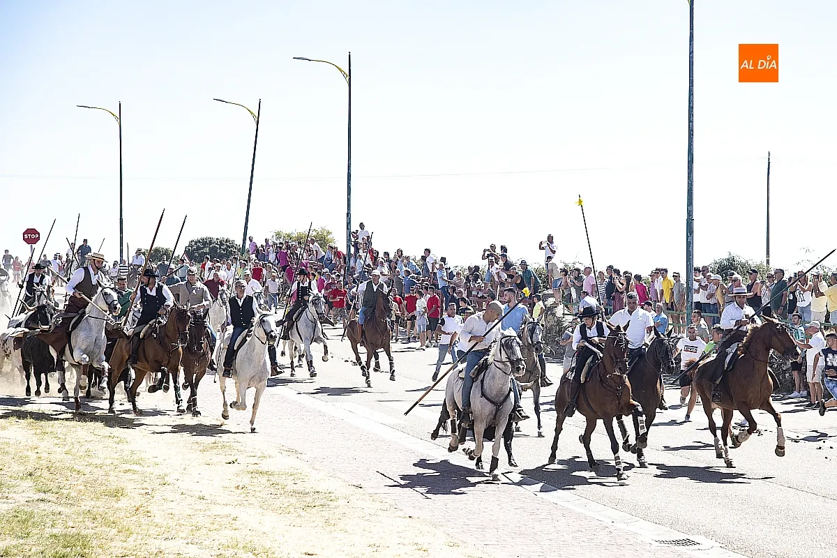 Encierro a Caballo domingo en Fuenteguinaldo