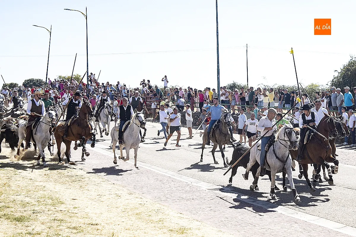Encierro a Caballo domingo en Fuenteguinaldo