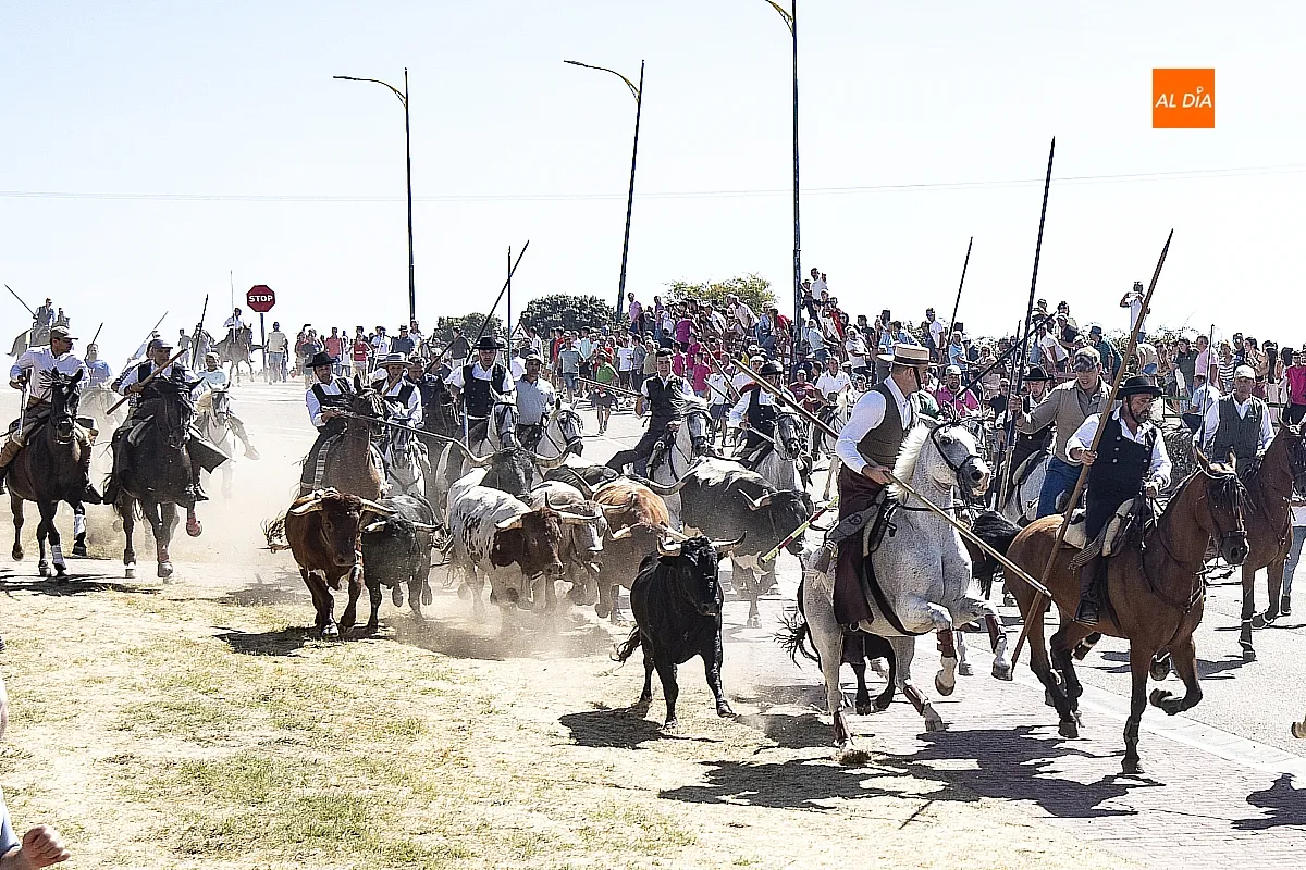 Encierro a Caballo domingo en Fuenteguinaldo