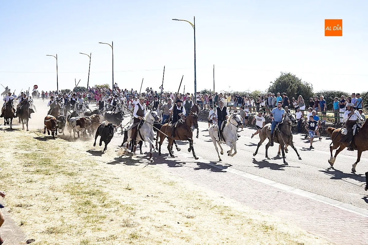 Encierro a Caballo domingo en Fuenteguinaldo
