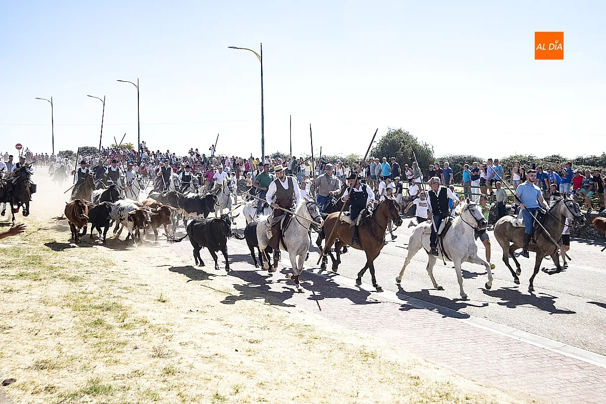 Encierro a Caballo domingo en Fuenteguinaldo