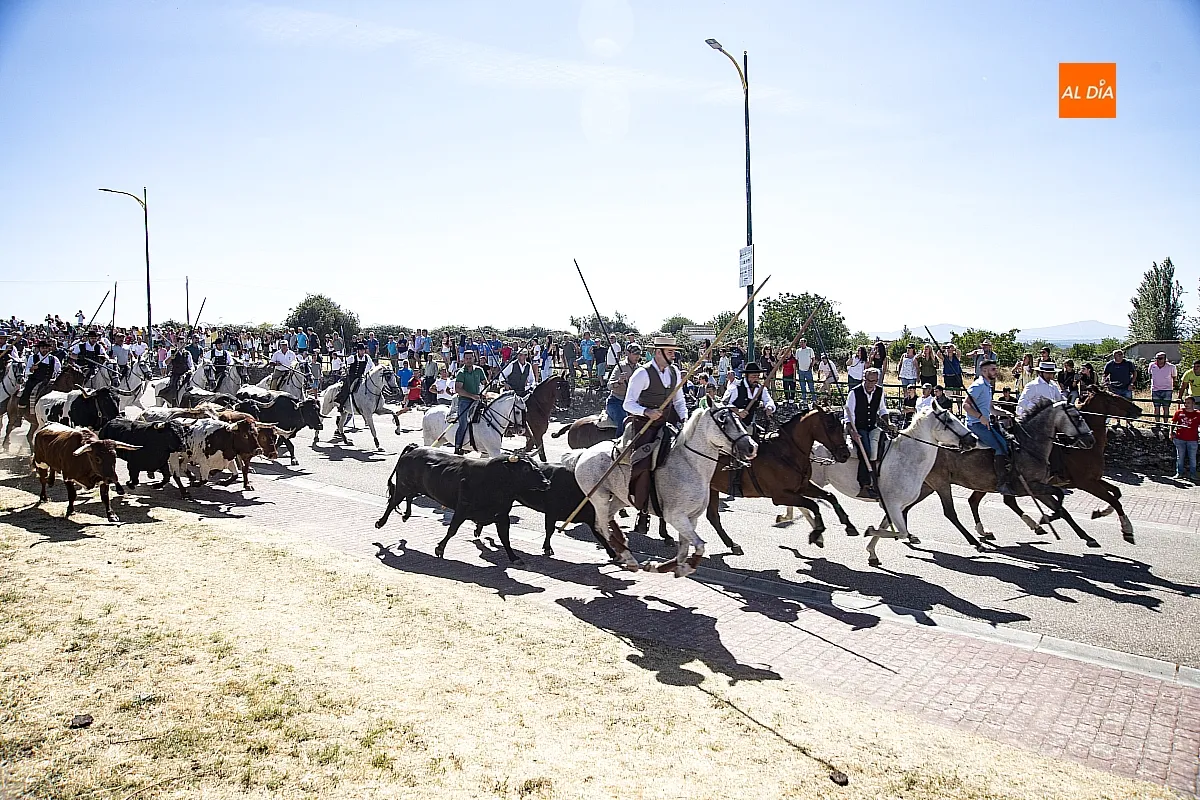 Encierro a Caballo domingo en Fuenteguinaldo