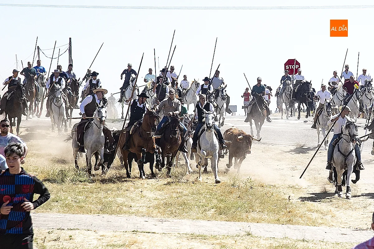 Encierro a Caballo domingo en Fuenteguinaldo