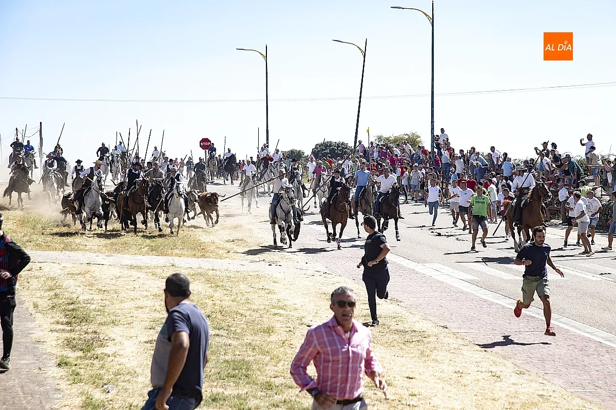 Encierro a Caballo domingo en Fuenteguinaldo