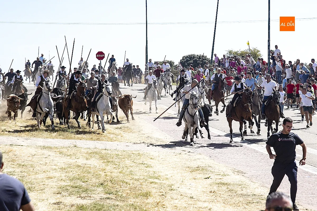 Encierro a Caballo domingo en Fuenteguinaldo