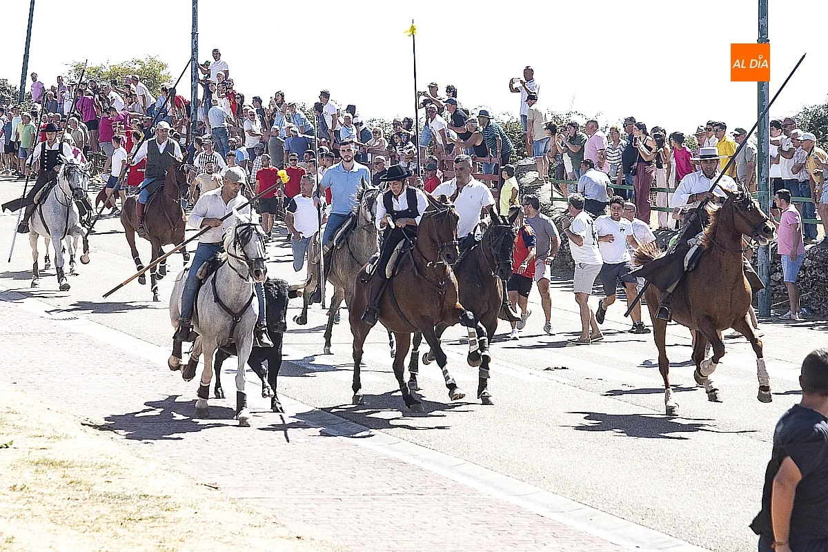 Encierro a Caballo domingo en Fuenteguinaldo