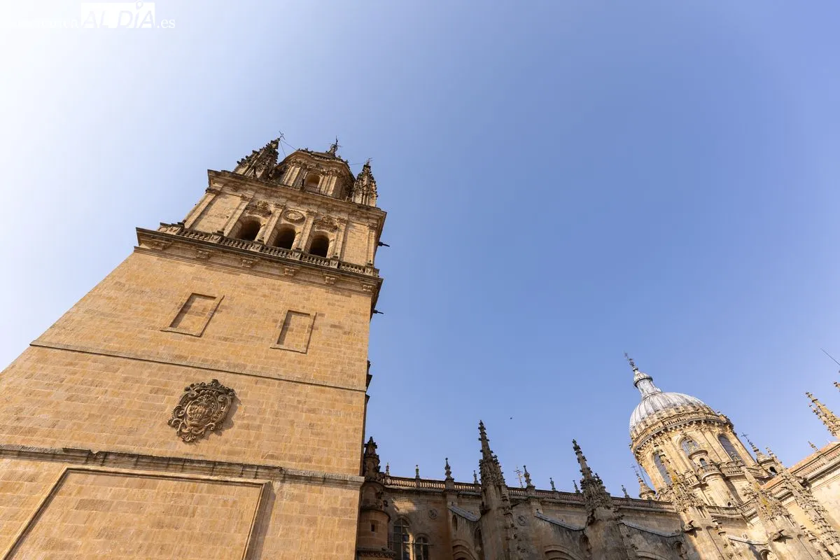 Ieronimus, el gran mirador de las torres de la Catedral | FOTOS: David Sañudo