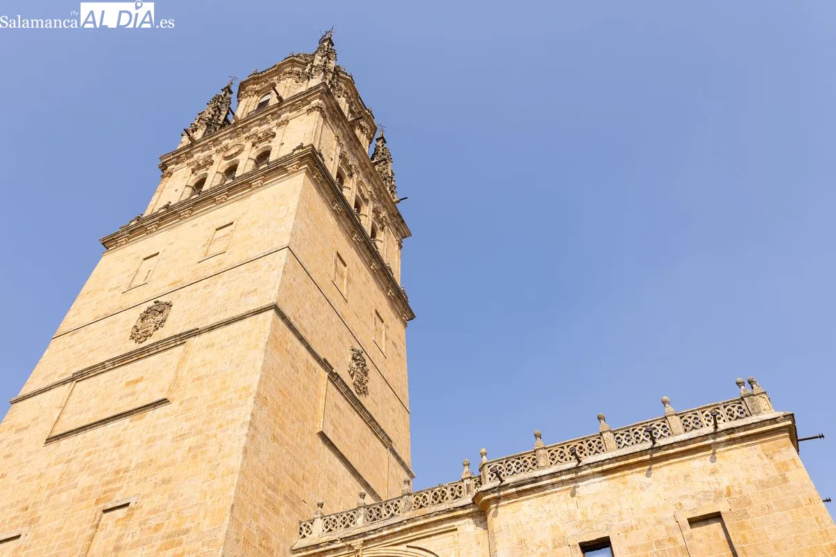 Ieronimus, el gran mirador de las torres de la Catedral | FOTOS: David Sañudo