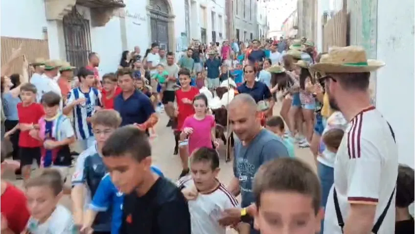 Encierro de Minibueyes en el Día del Niño de Lumbrales / INFOTUR