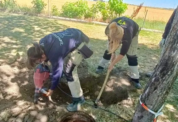 Foto 6 - El Programa mixto &lsquo;Pe&ntilde;aranda Monte y Jard&iacute;n&rsquo; da una nueva vida e imagen a jardines y zonas verdes