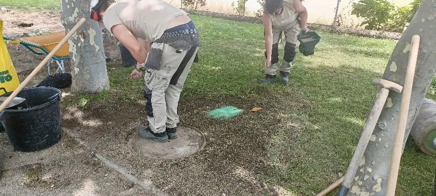 Foto 3 - El Programa mixto &lsquo;Pe&ntilde;aranda Monte y Jard&iacute;n&rsquo; da una nueva vida e imagen a jardines y zonas verdes