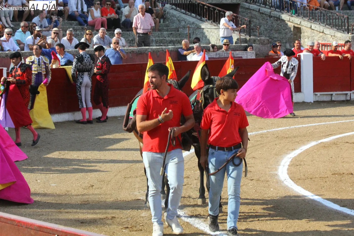 Corrida de toros mixta en Vitigudino / CORRAL
