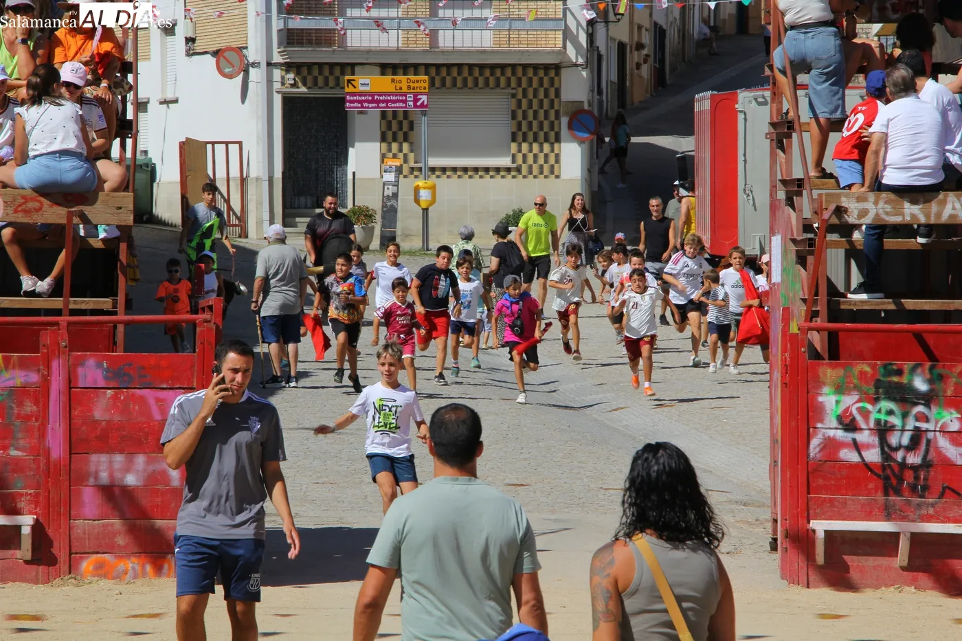 Accidentado primer encierro de Vilvestre con novillos de Ignacio López Chaves / MARIBEL SÁNCHEZ