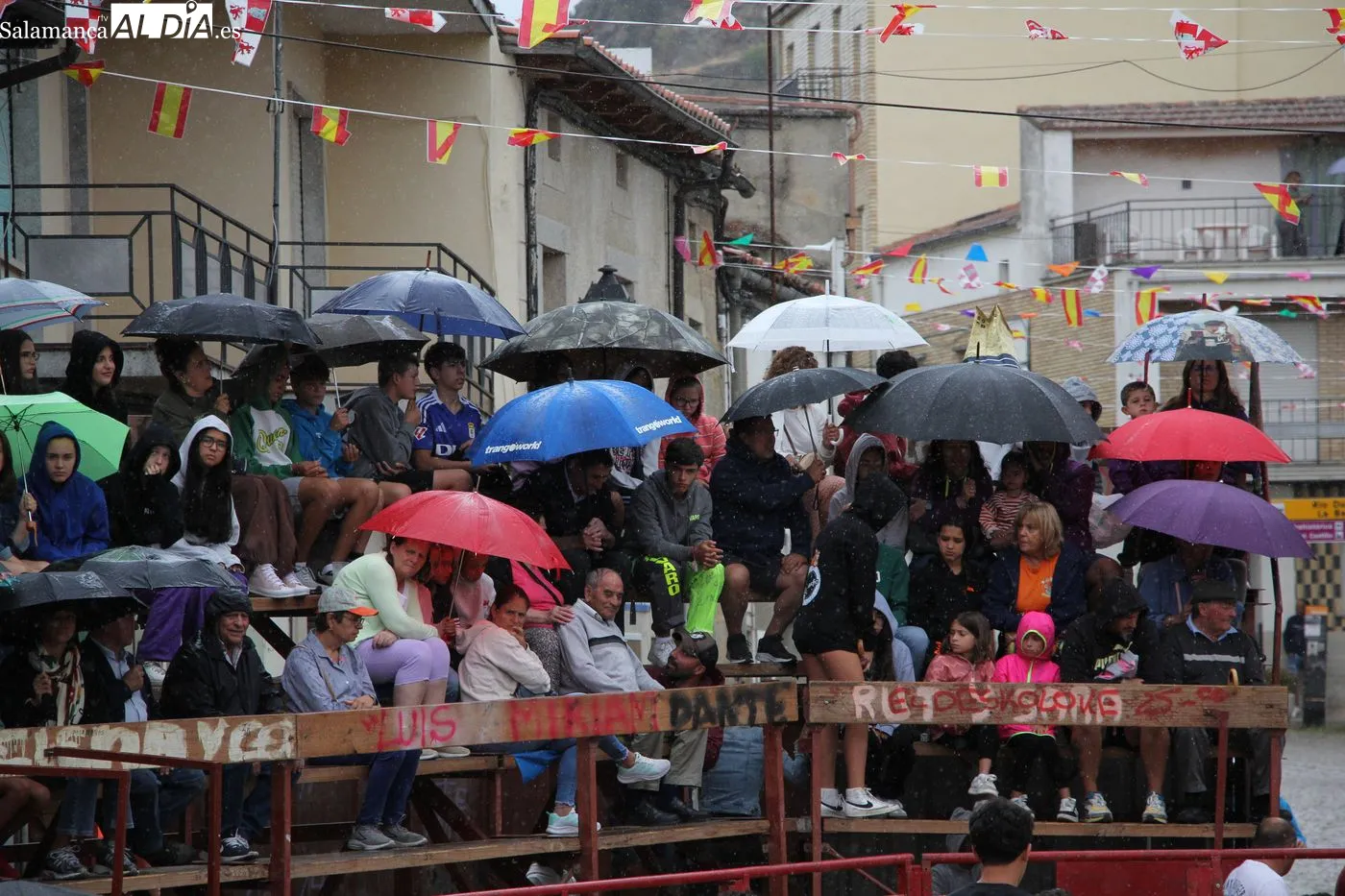 Encierro de Valdeflores en Vilvestre